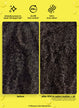 before + after K18 routine and hair oil image